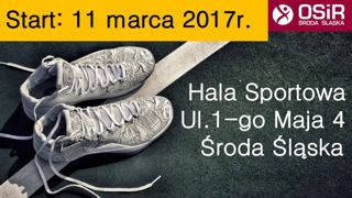 Liga koszykowki 0