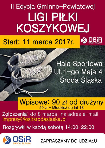 Liga koszykowki