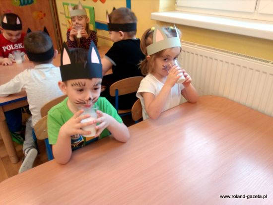 dzien kota 5