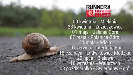 RWSB kalendarz