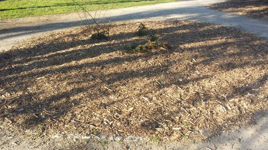 park 4