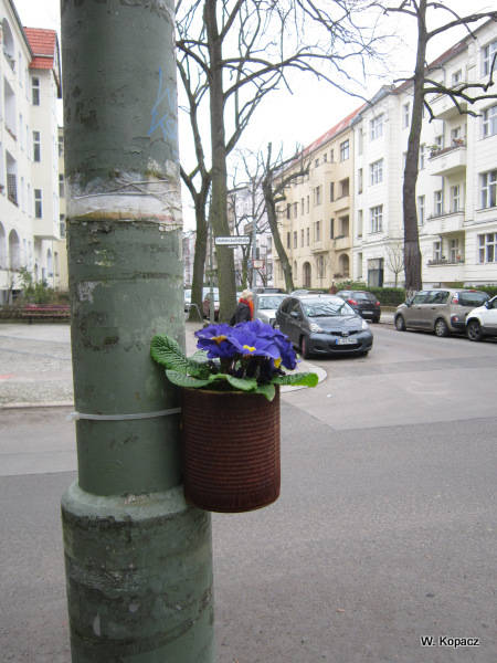 IMG 0558