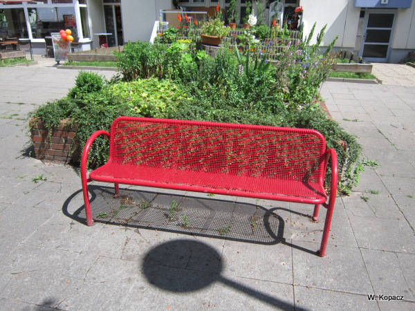 IMG 0906