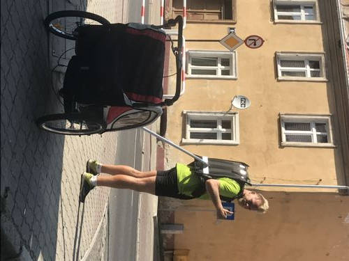 bokser