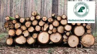 drewno do transportu 0