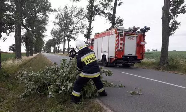 35842355 886295578221570 4962526641113792512 n