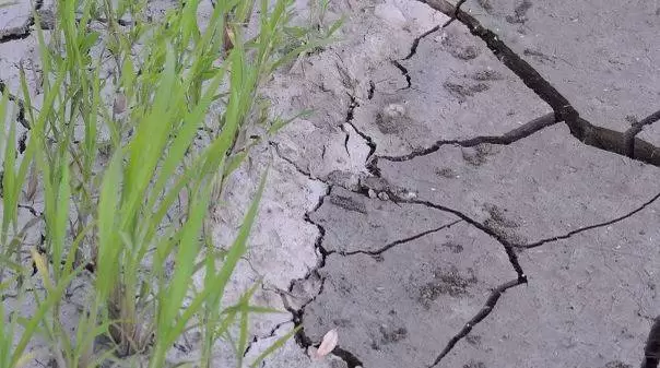 drought 218901 960 720