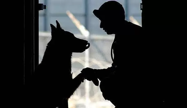 soldier 919202 960 720