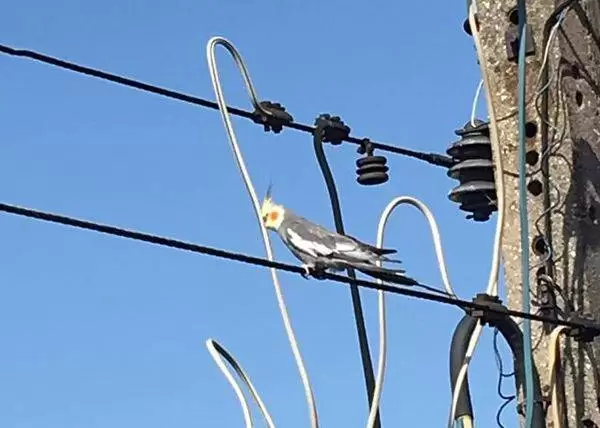 30440848 680811515643699 2068209761580482560 n