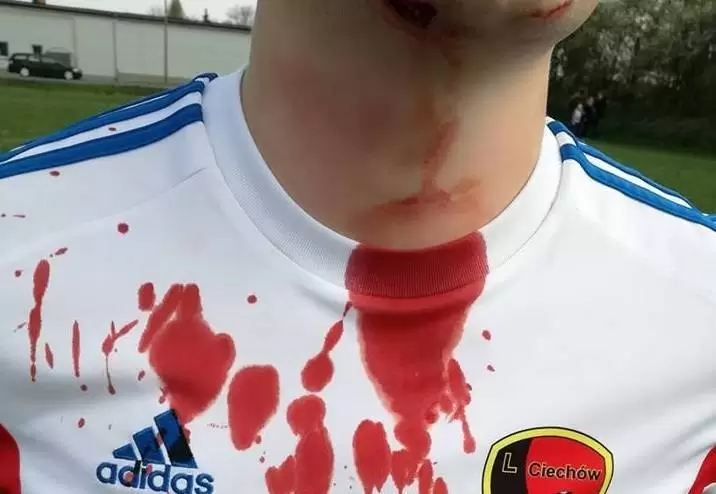 30714892 608873989449269 4062387743110463488 n Kopia