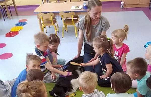 31444787 861042214083927 7911410414422851584 n