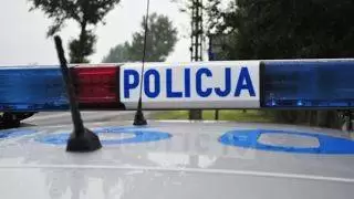 policja statystyki