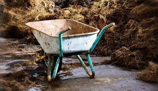 work 1201543 960 720