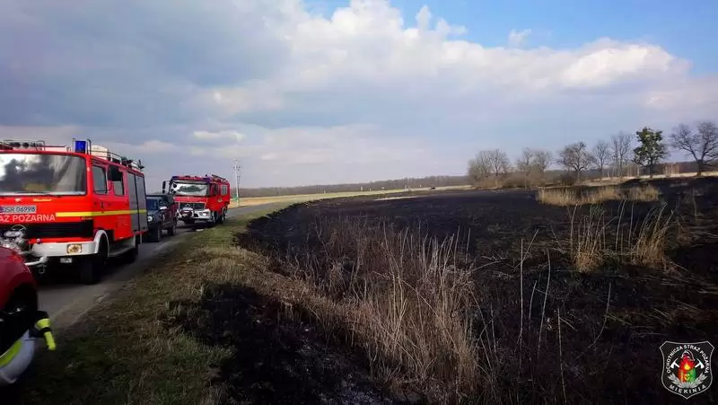 29744639 1254066108070493 8035553511639975461 o