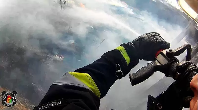 29872495 1254066051403832 5302592393295758052 o