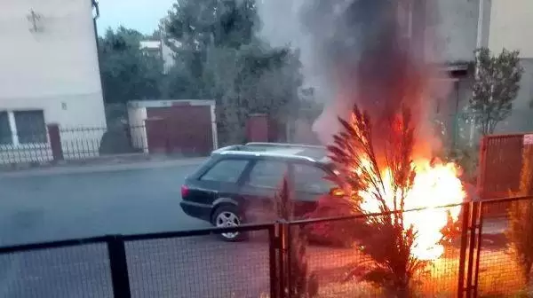 36483021 1861147973965158 4979031788115460096 o