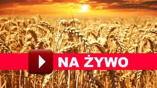 KONFERENCJA 0
