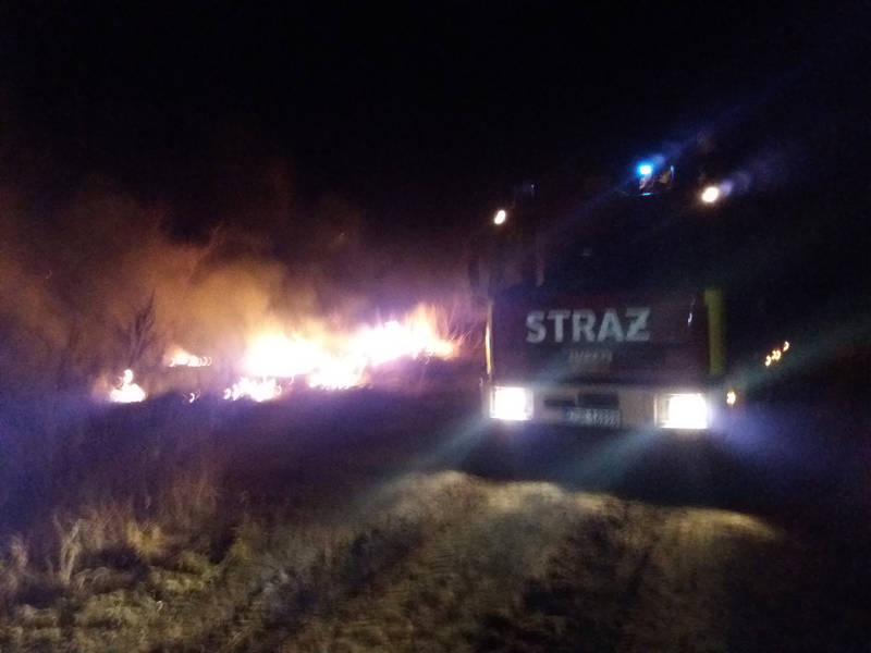 pozar trrwa udamnin1