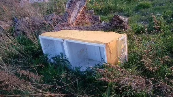 31489102 1749299755150825 7697773316576116736 n