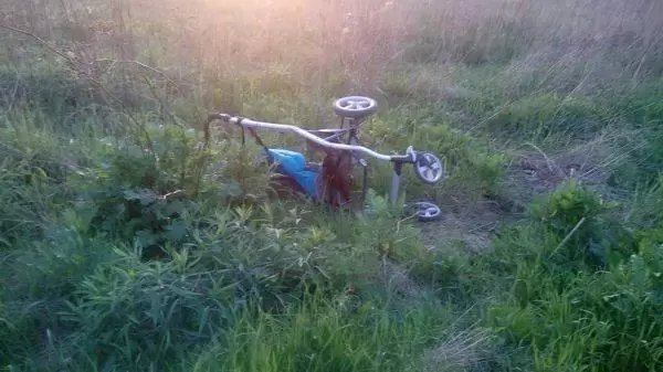 31693108 1749299335150867 8786213150023221248 n