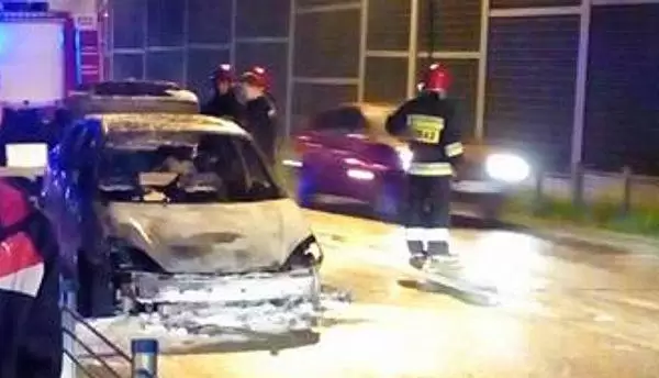 32745203 1599652453466304 4804568300996526080 n