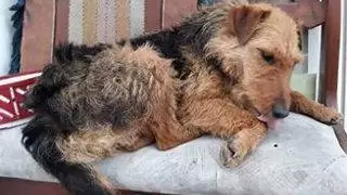 29004005 1697066727018157 1517135367 n