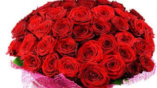 roze