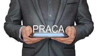 oferta pracy