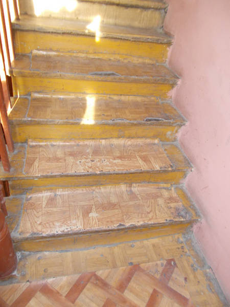 6 DSCN1442