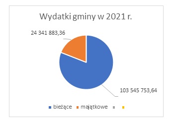 wydatki 2021 1