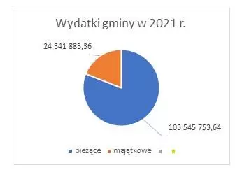 wydatki 2021 1