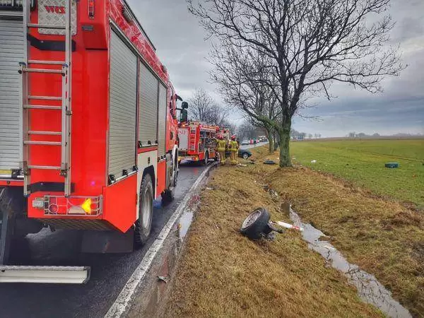 426361816 337292769284491 1591088505495836864 n