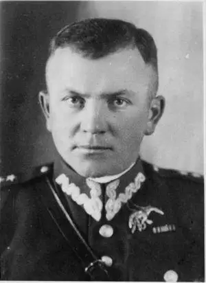 hryniewicz 1 50 x 70