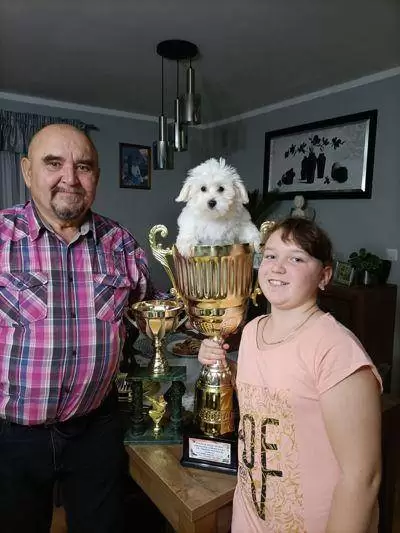 inbound8394294696860404042