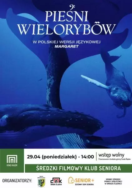 2024 04 29 klubseniora