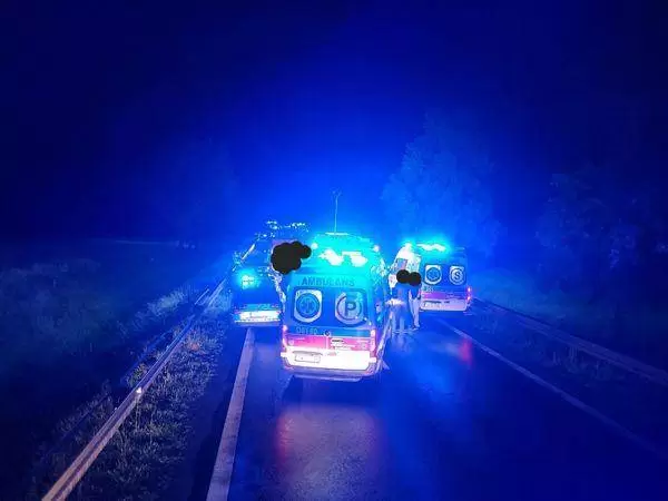 447595506 408115605535540 3123676963112419291 n