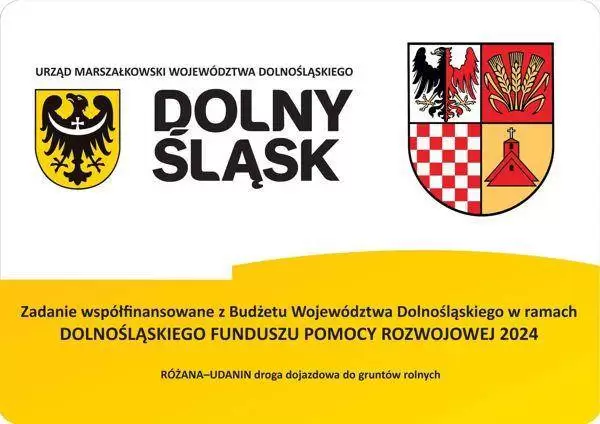 454382881 935375558629546 5446204827038821080 n