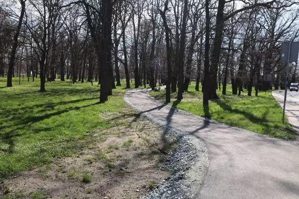 6.sciezka pieszo rowerowa w parku przy ul. kolejowej w srodzie slaskiej