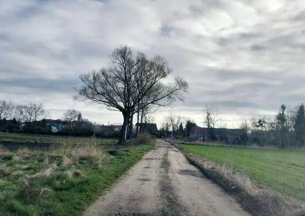 kryniczno 420 mb w kierunku dw 346