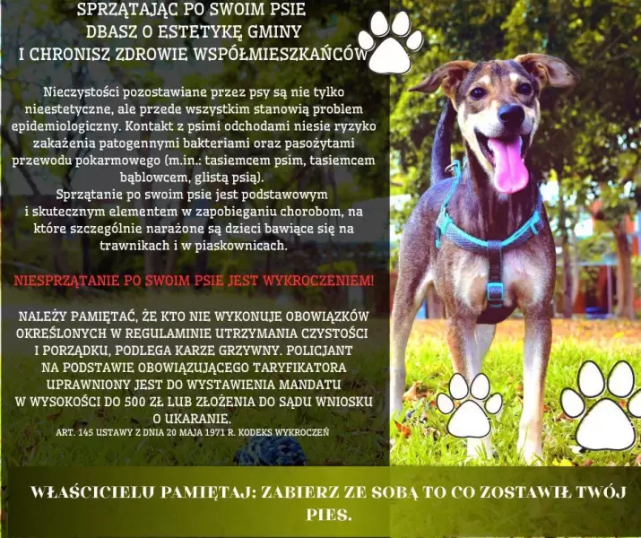 518275089 1154136970082863 3451585936225143147 n