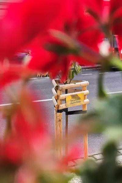 548422873 1204089448421215 2438348117324928508 n