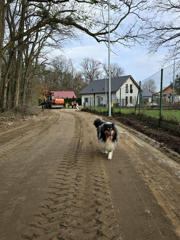 586266912 1260033772826782 4487072601940868590 n