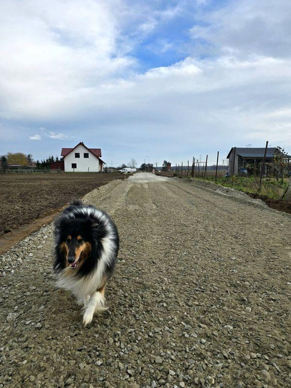 586564621 1260033892826770 9169960753538281144 n