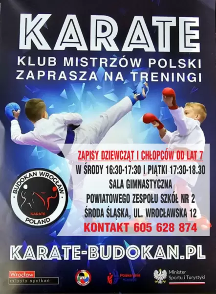 karate plakat