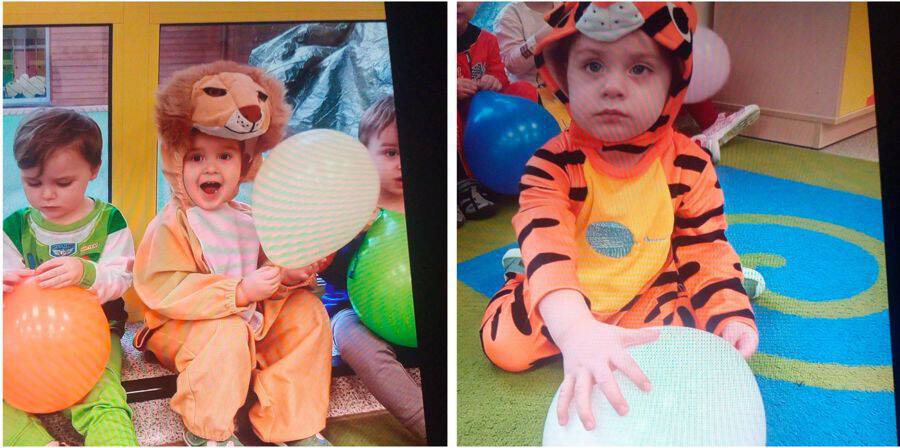 20260216 131133 collage