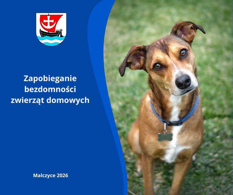 636896049 1330800825749809 5459869568665550567 n