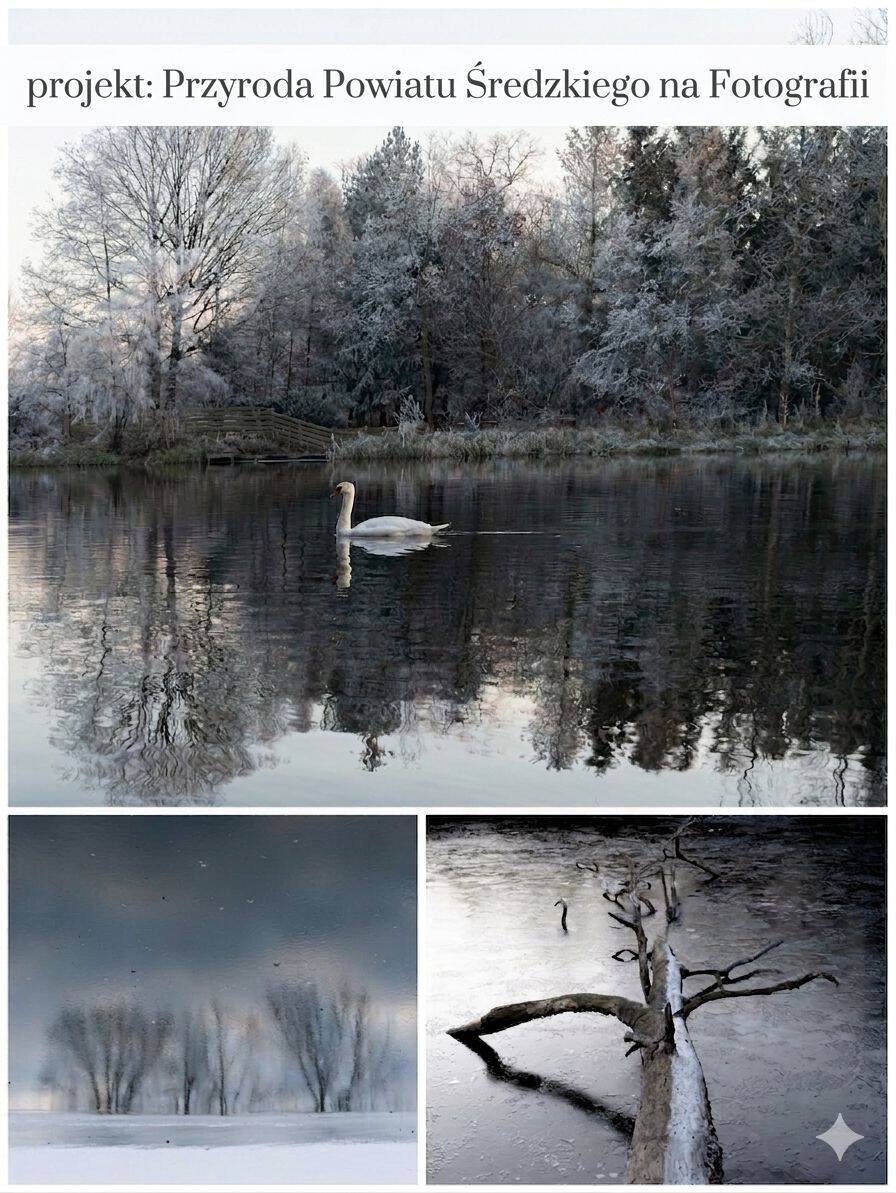 654554143 1548148230654339 8480178504170898549 n