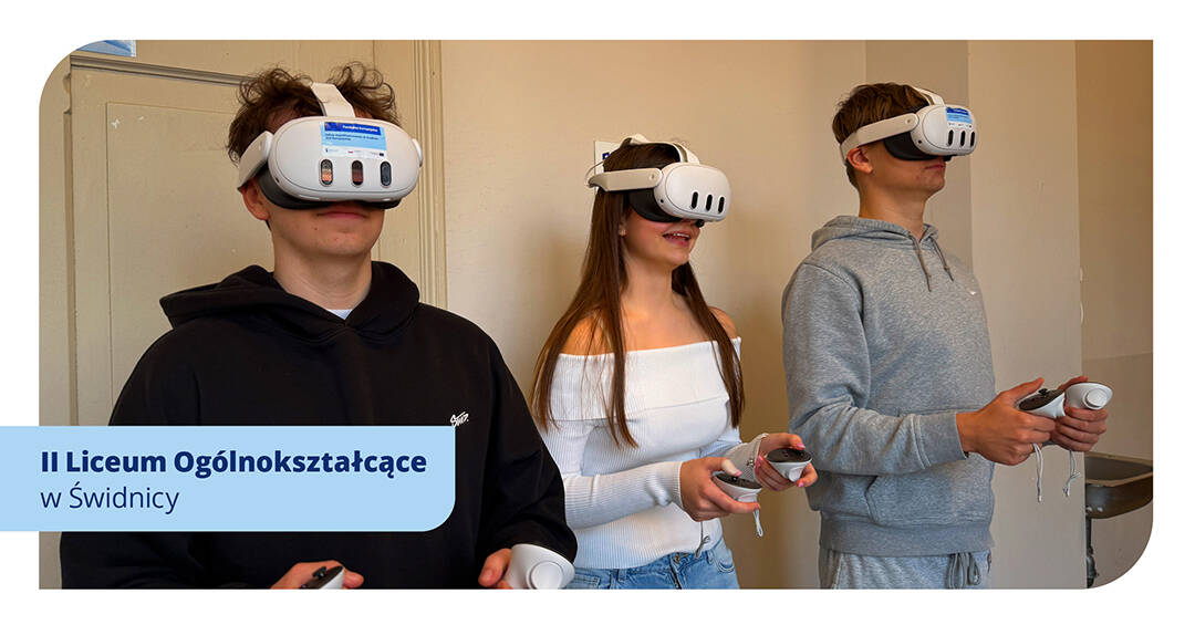 847303892 grafika do artykulu4