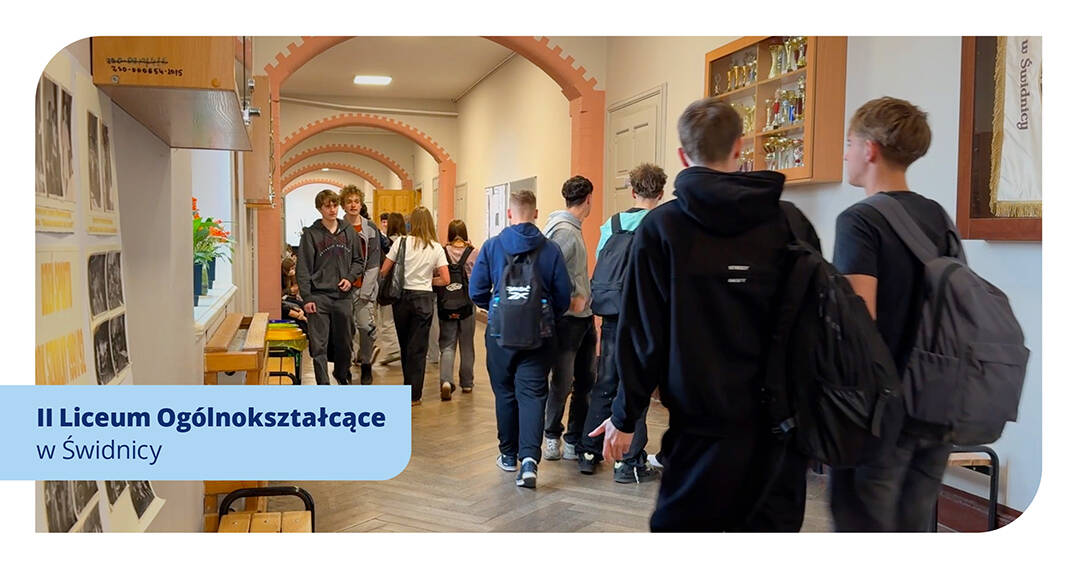 847303893 grafika do artykulu3