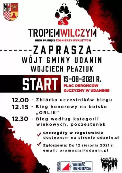 223852564 4883190508357669 7771424733142615602 n